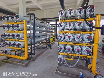 雪龍集團400噸反滲透水處理設備